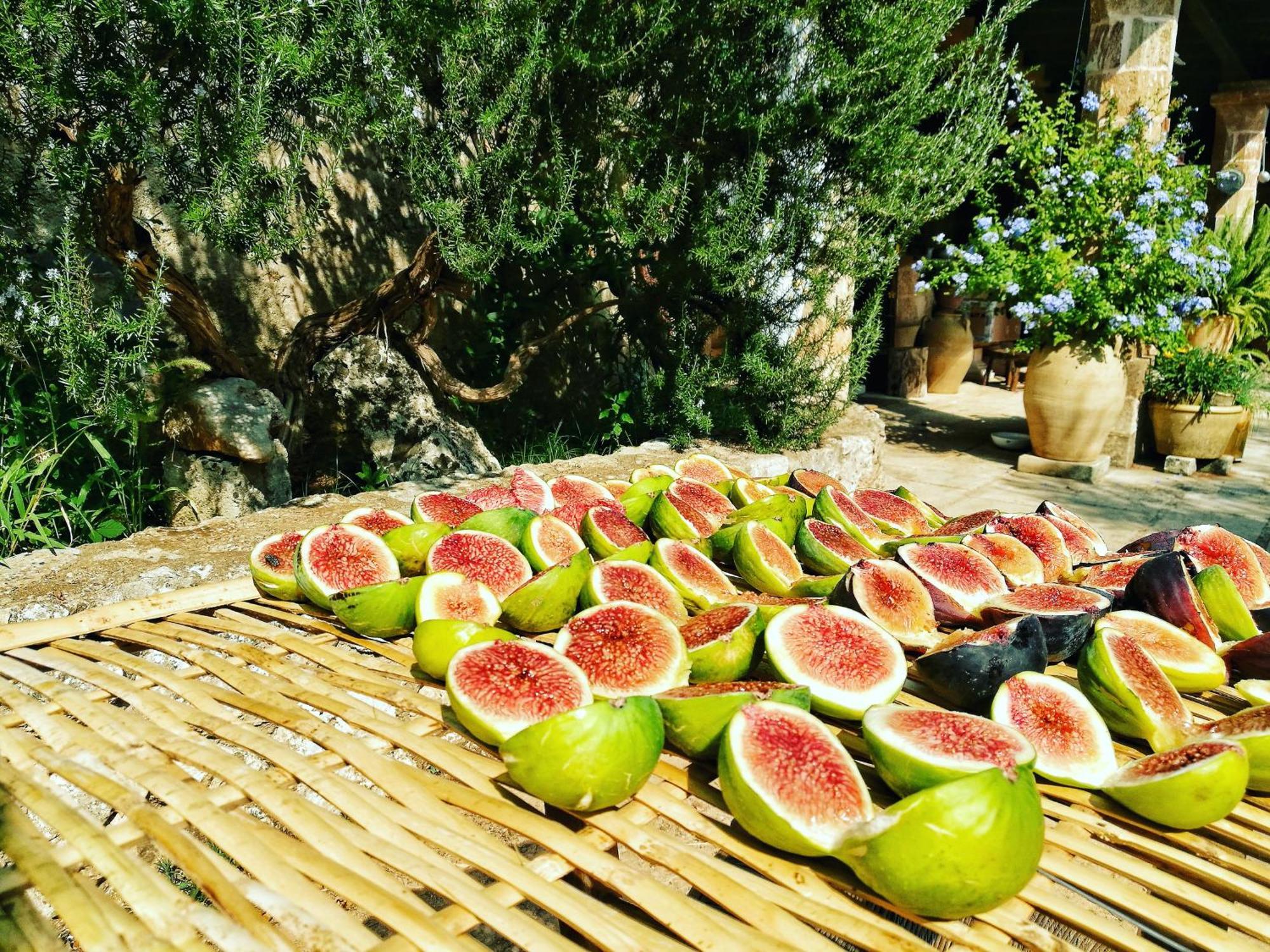 Masseria Borgo Del Gallo Tricase Exterior foto