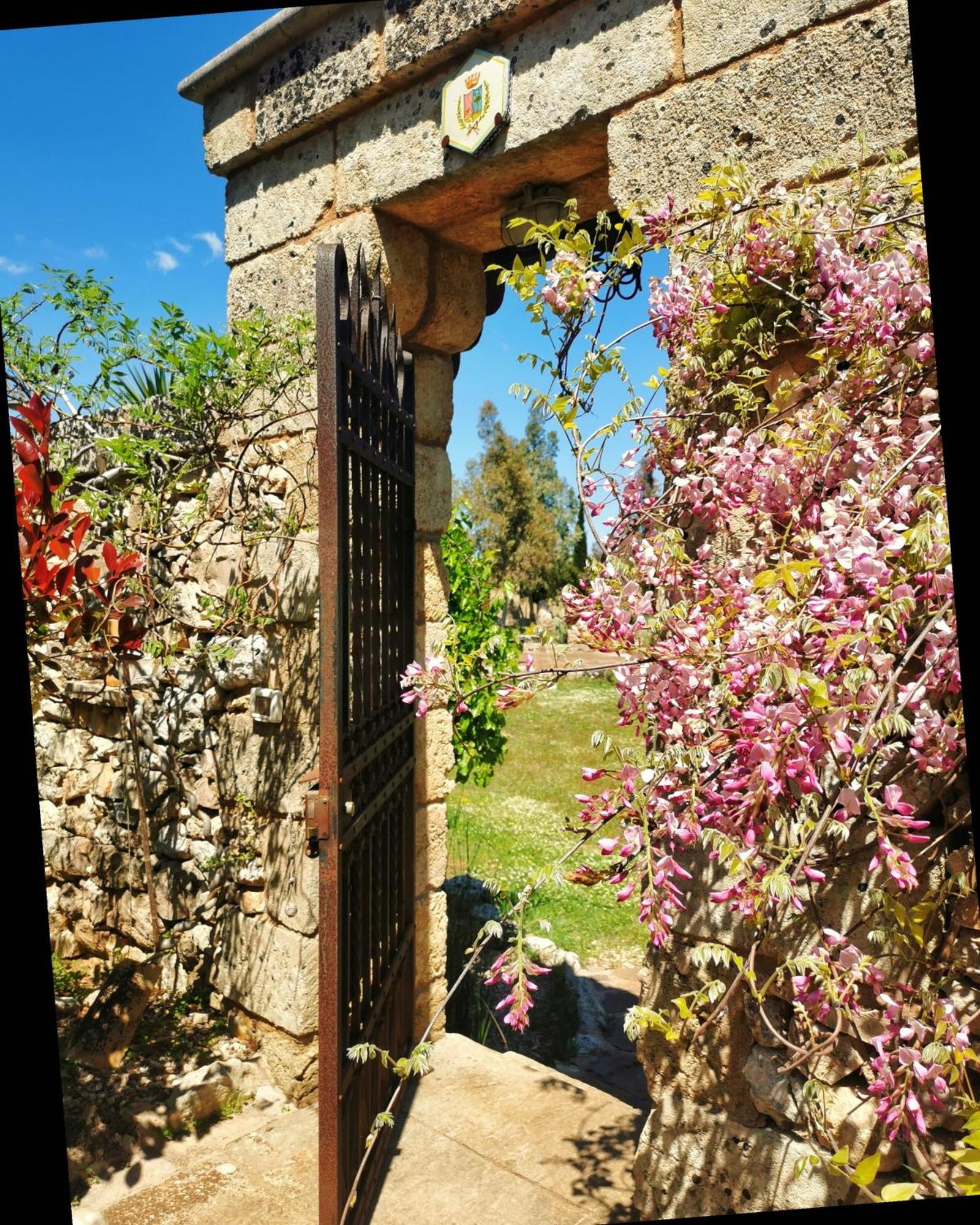 Masseria Borgo Del Gallo Tricase Exterior foto